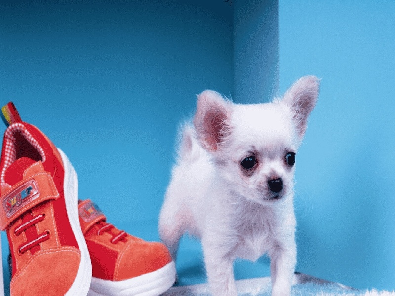 张女士成功案例